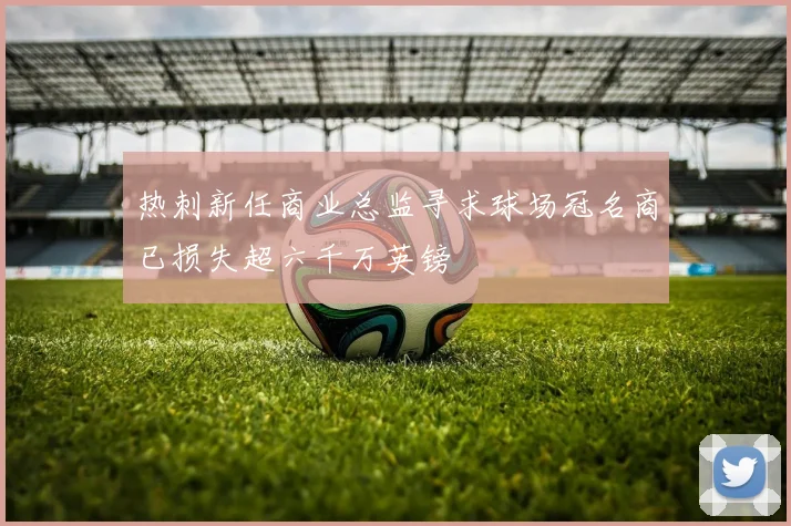 热刺新任商业总监寻求球场冠名商已损失超六千万英镑